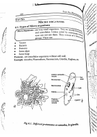 Extreme Micro Organisms .pdf